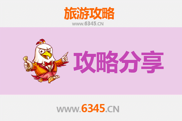 大连中山旅游攻略：跟团与自由行深度对比